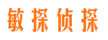 阳春市侦探调查公司